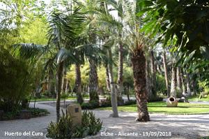 19 ELCHE HUERTO DEL CURA (34)